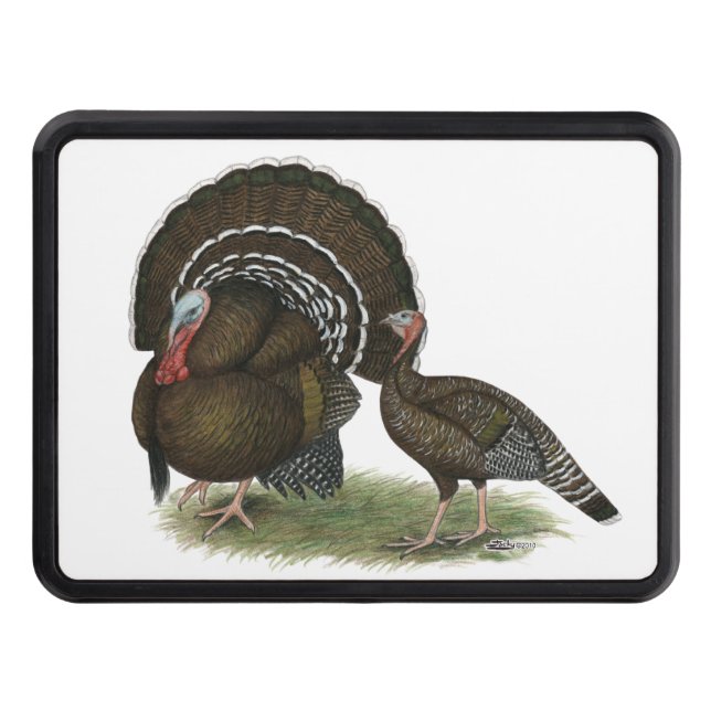 Cubierta Para Remolque Bronce del estándar de Turquía (Anverso)