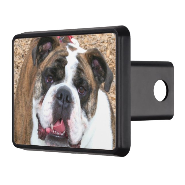 Cubierta Para Remolque Bulldog inglés (Izquierda)