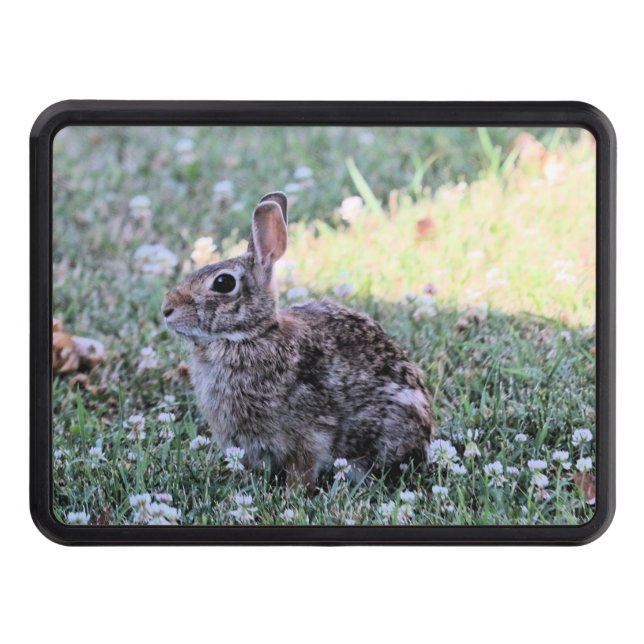 Cubierta Para Remolque Bunny (Anverso)