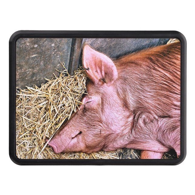 CUBIERTA PARA REMOLQUE CERDO CUTIDO (Anverso)