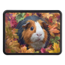 Cerdo de Guinea entre hojas de otoño