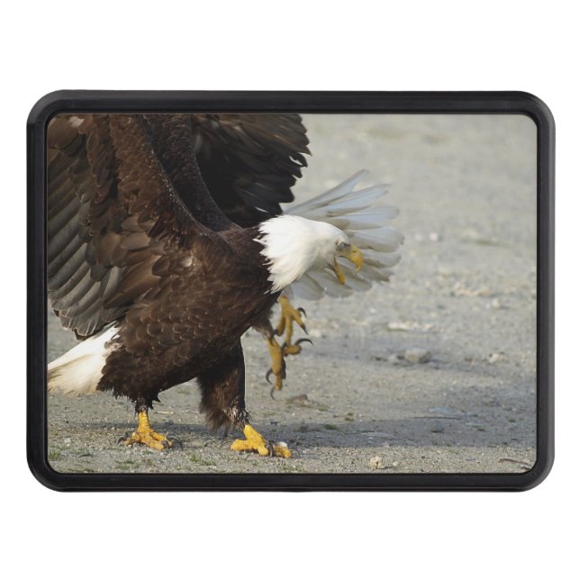 Cubierta Para Remolque Cheeky Bald Eagle Wildife Photo Art (Anverso)