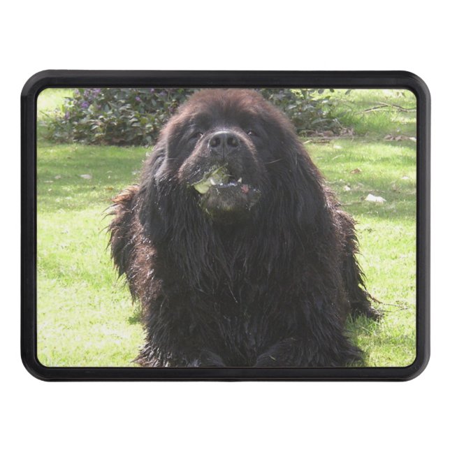 Cubierta Para Remolque Colocación de Terranova (Anverso)