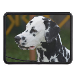 Cubierta Para Remolque Dalmatian con los puntos