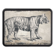 Decoración de tigres de vida silvestre