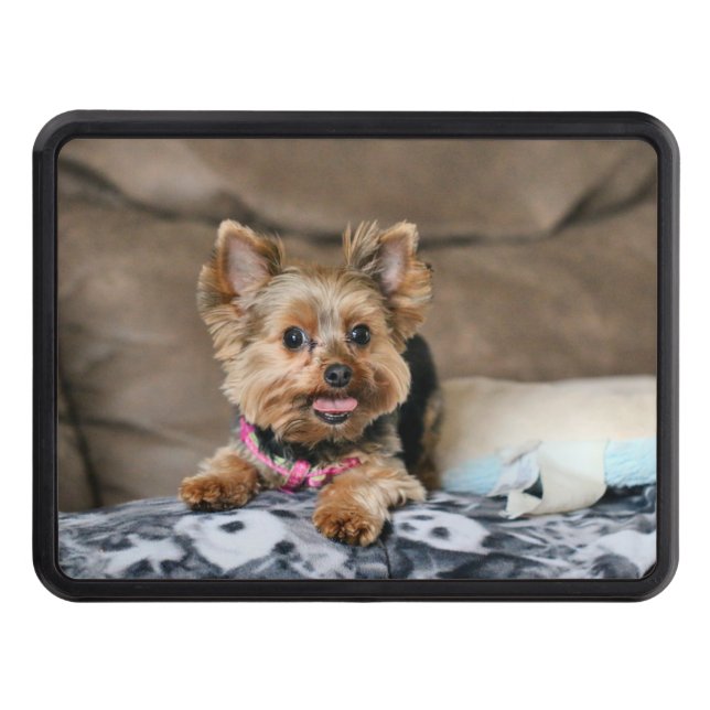 Cubierta Para Remolque Dínamo pequeño (Anverso)