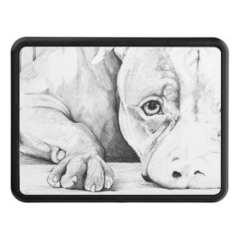 Cubierta Para Remolque Esperando pacientemente