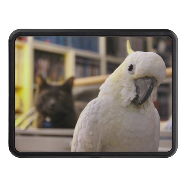 Cubierta Para Remolque Está detrás de mí...¿no es así? (Anverso)