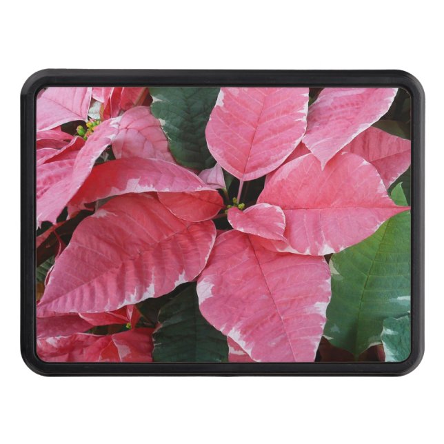 Cubierta Para Remolque Estrella plateada de mármol Poinsettias Flor de va (Anverso)