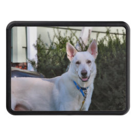 Cubierta Para Remolque Fantasma