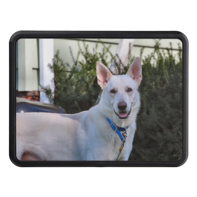 Cubierta Para Remolque Fantasma (Anverso)