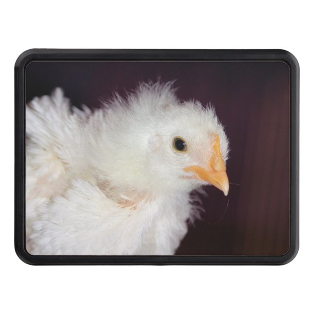 Cubierta Para Remolque Fliff (Anverso)