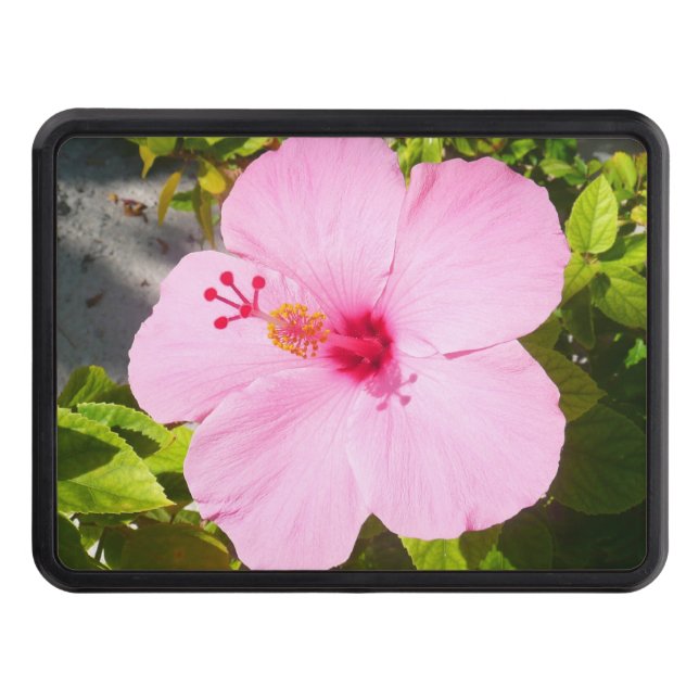 Cubierta Para Remolque Flor tropical Hibiscus rosa (Anverso)