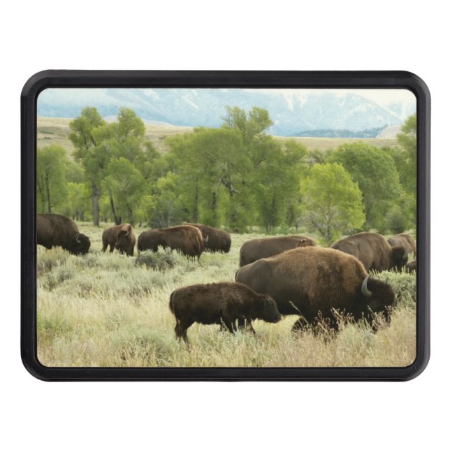 Cubierta Para Remolque Fotografía de animales de la naturaleza de Wyoming (Anverso)