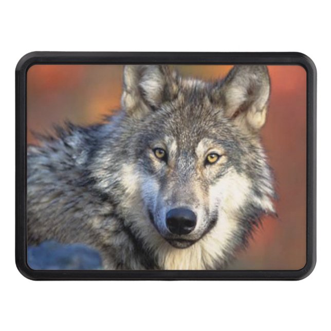 Cubierta Para Remolque Fotografía del lobo (Anverso)