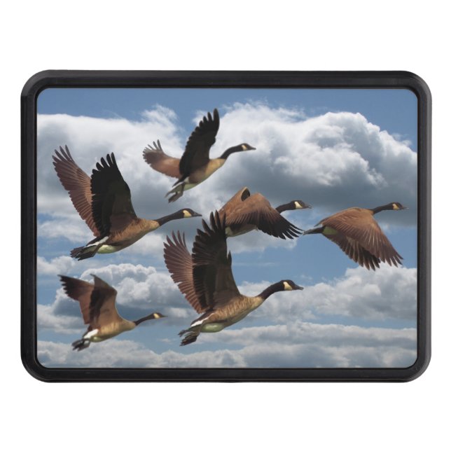 CUBIERTA PARA REMOLQUE GANSOS (Anverso)