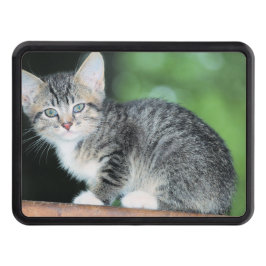 Cubierta Para Remolque Gatito