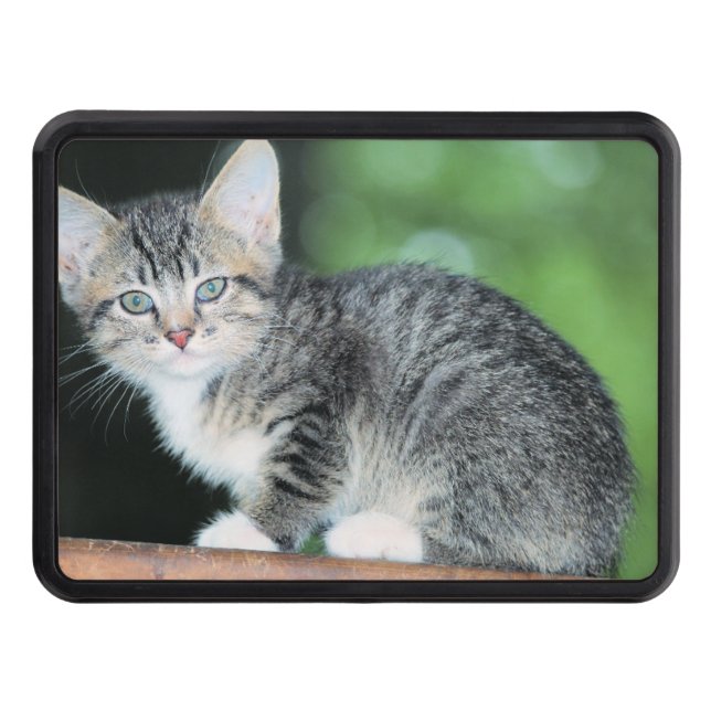 Cubierta Para Remolque Gatito (Anverso)