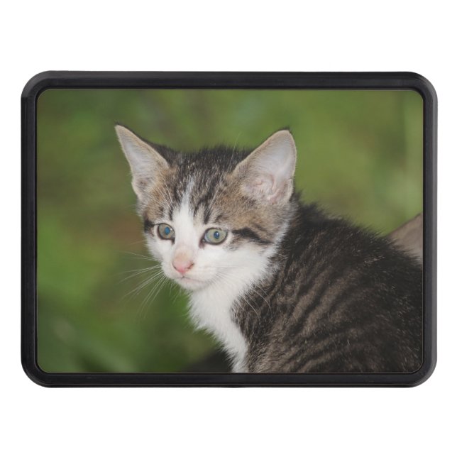 Cubierta Para Remolque Gatito (Anverso)