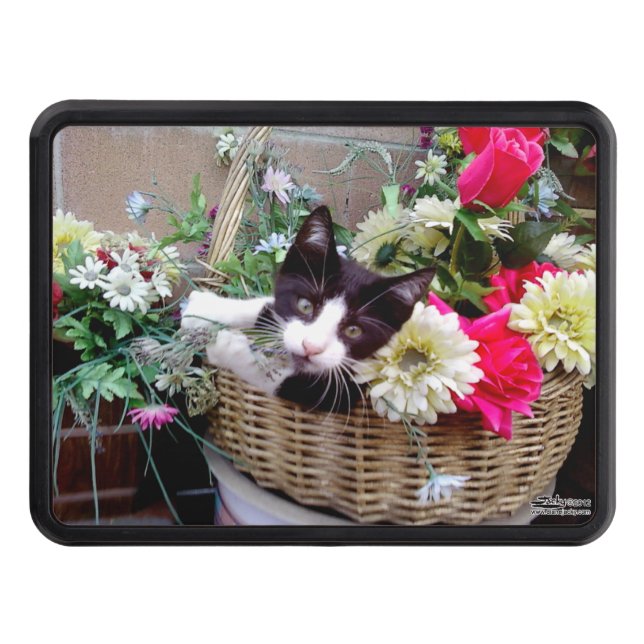 Cubierta Para Remolque Gatito en una canasta (Anverso)