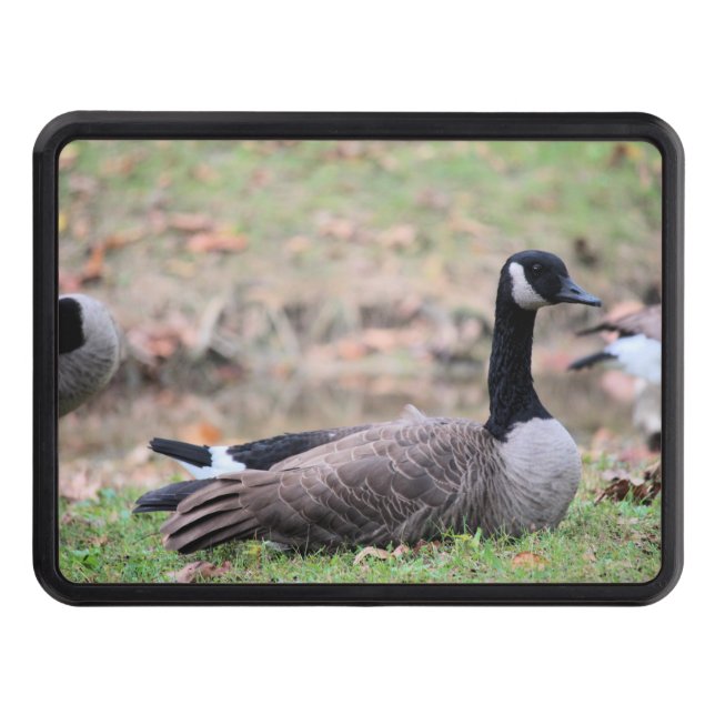 Cubierta Para Remolque Goose (Anverso)