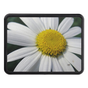 Cubierta Para Remolque Gran Daisy