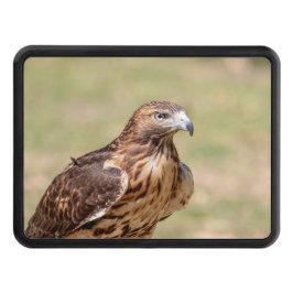 Cubierta Para Remolque Halcón de cola roja en el Valle de Hudson