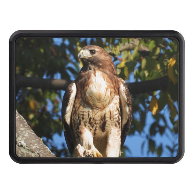 Cubierta Para Remolque Halcón rojo con cola (Anverso)