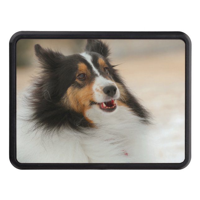 Cubierta Para Remolque Happy Shelty Air Freshener (Anverso)