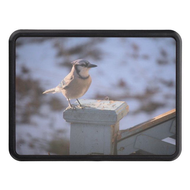 Cubierta Para Remolque Jay azul (Anverso)