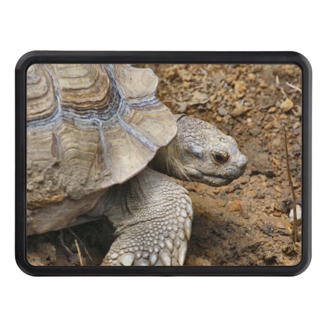 Cubierta Para Remolque Lento (Anverso)