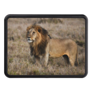 Cubierta Para Remolque León africano en hierba