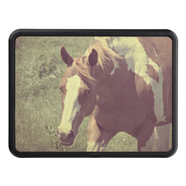 Cubierta Para Remolque Llamativo (Anverso)