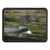 Lote común en Jabe Pond