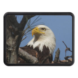 Cubierta Para Remolque Majestic Bald Eagle Close