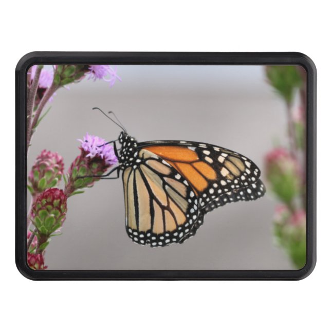 Cubierta Para Remolque Monarca (Anverso)