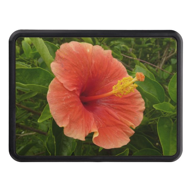 Cubierta Para Remolque Naranja Hibiscus Flower Tropical Floral (Anverso)