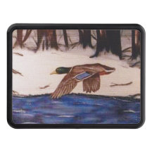 Pato Mallard en una misión