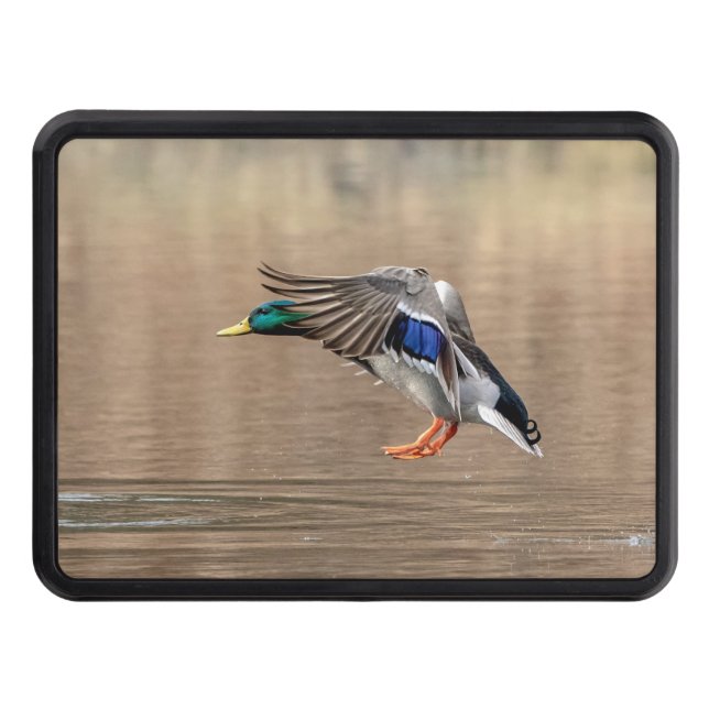Cubierta Para Remolque Pato Mallard en vuelo (Anverso)