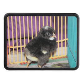 Cubierta Para Remolque Peep