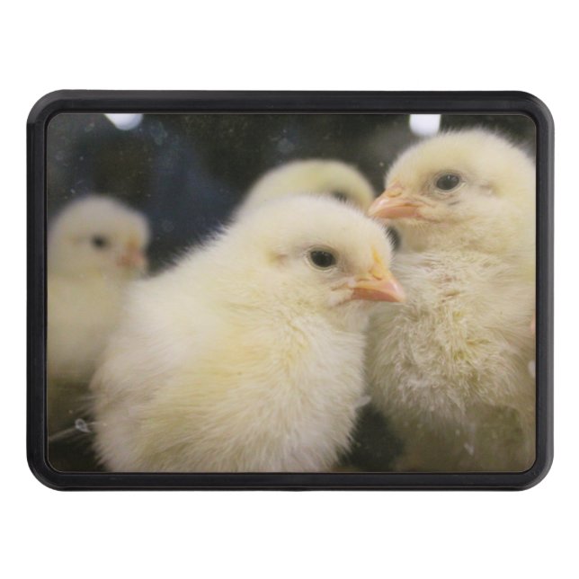 Cubierta Para Remolque Peeps (Anverso)