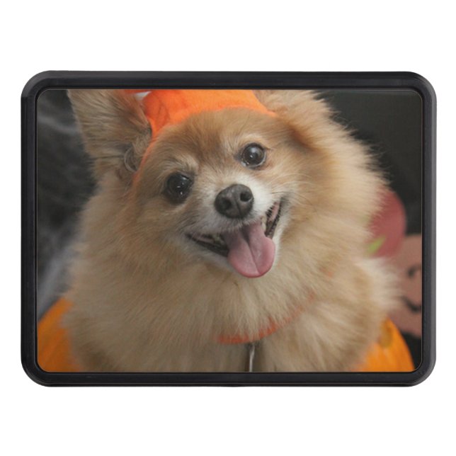 Cubierta Para Remolque Perrito astuto sonriente de Pomeranian en la (Anverso)