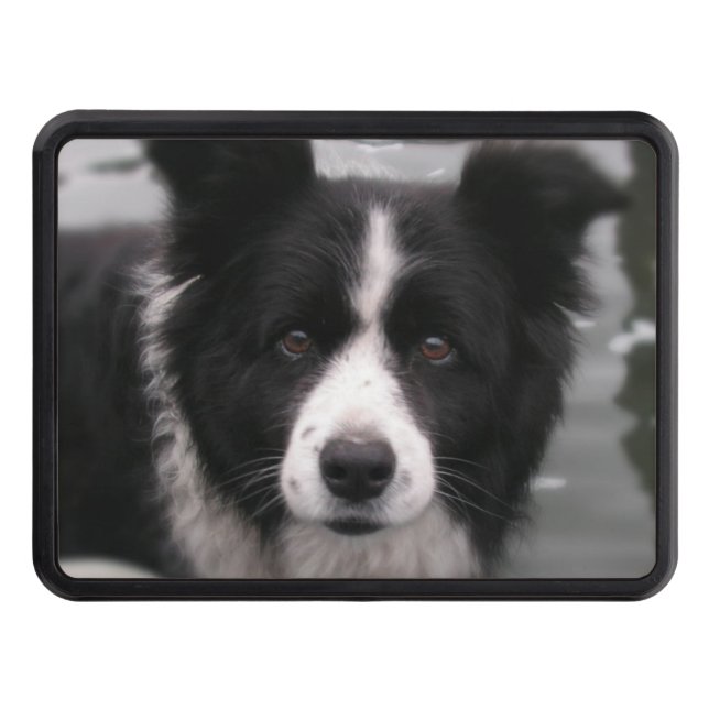 Cubierta Para Remolque Perro del border collie (Anverso)