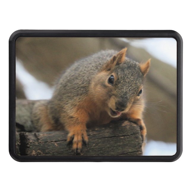 Cubierta Para Remolque Pfft (Anverso)