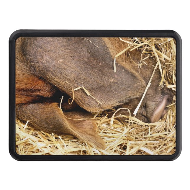 CUBIERTA PARA REMOLQUE PIGS (Anverso)