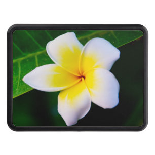 Cubierta Para Remolque Plumeria