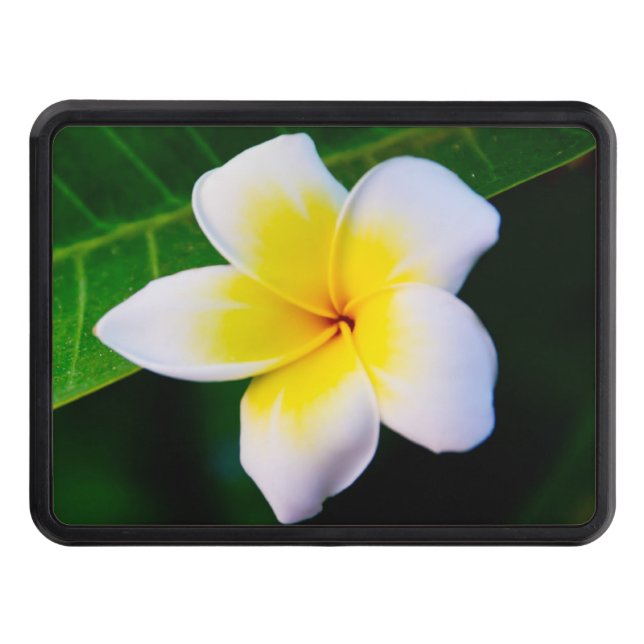 Cubierta Para Remolque Plumeria (Anverso)