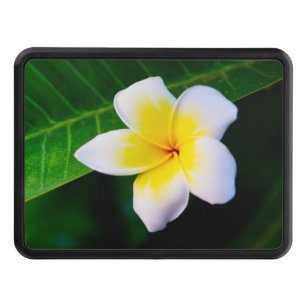 Cubierta Para Remolque plumeria