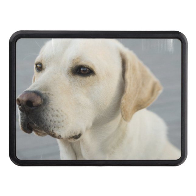 Cubierta Para Remolque Producto del personalizar (Anverso)