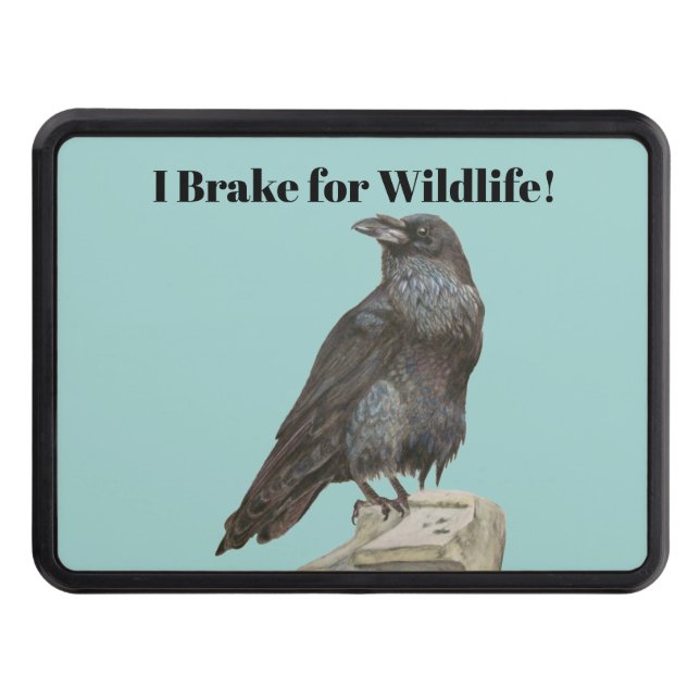 Cubierta Para Remolque Raven (Anverso)